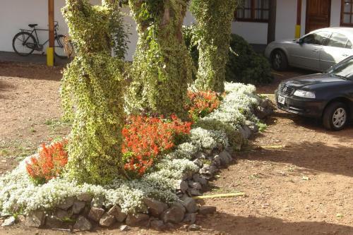 Apart Hotel Los Cedros