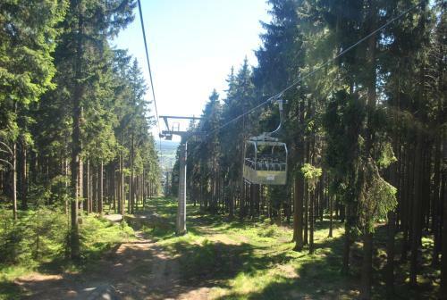 Apartamento Harz-rose