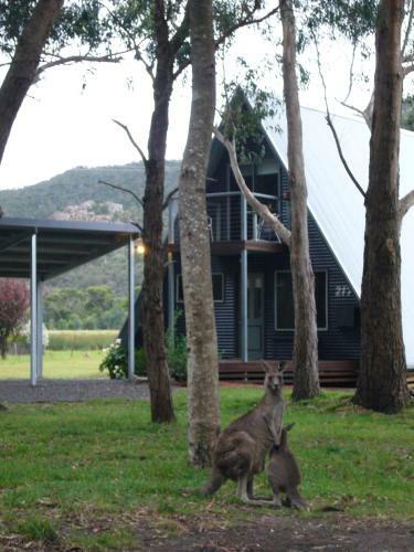 The A-frame Chalet