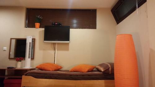 Bed & Breakfast Pansion Bazeni