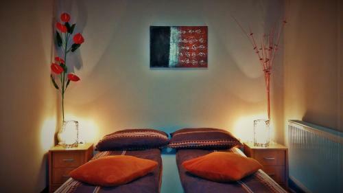 Bed & Breakfast Pansion Bazeni