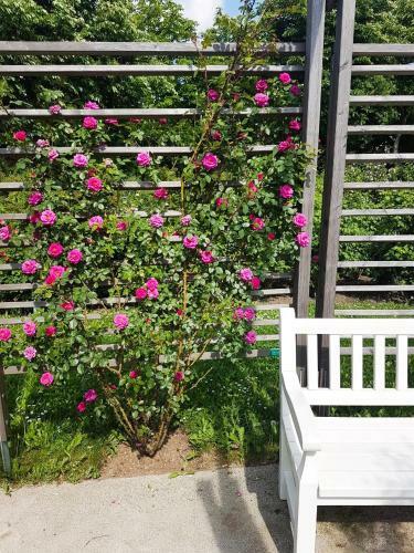 Hostal Helenental Pension & Apartments