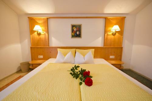 Apart-pension Wasserfall