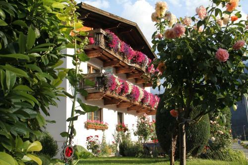 Hostal Appartements G�stehaus Schrott