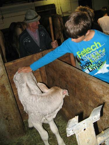 Agroturismo Bauernhof Leneler