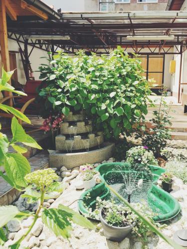 Hostal Guest House Nizama's Place
