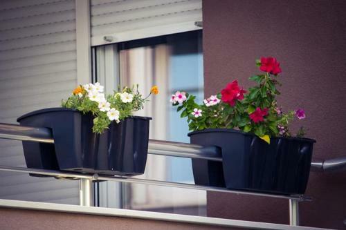 Apartamento Villa Zaad