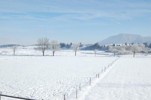 Hostal G�stehaus Stefanie