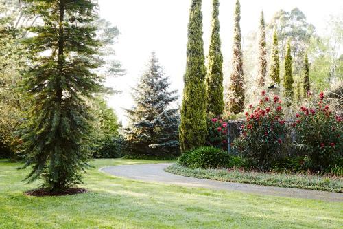 Agroturismo Beechmont Garden Retreat