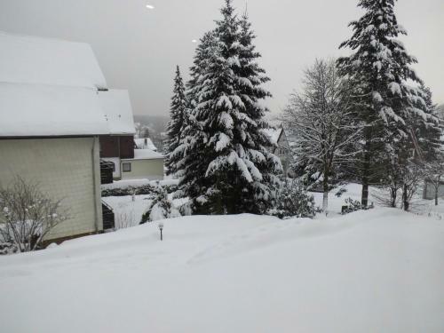 Apartamento Harzpur - Harzzeit