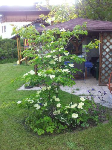 Apartamento Ferienwohnung Anna Zechner