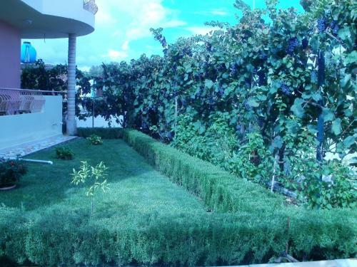 Apartamento Hotel Alexis