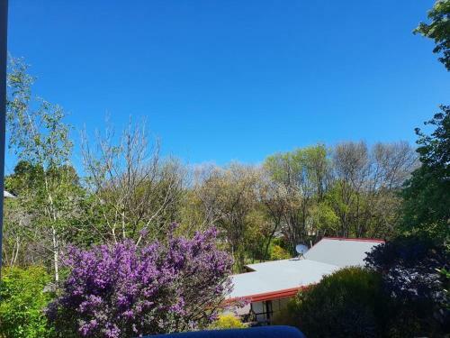Abelia Cottage Lakeside