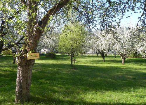 Posada Gasthof Gr�ner Baum