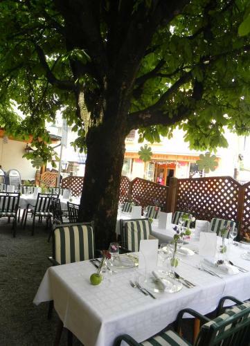 Posada Gasthof Gr�ner Baum