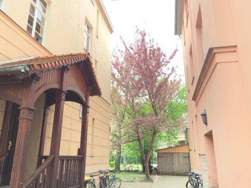 Apartamento Studio Altbau