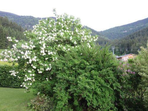 Apartamento Haus Margarete