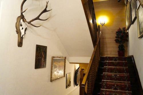 Hotel Lintner