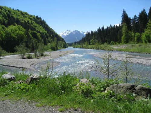 Apartamento G�stehaus Bergfrieden