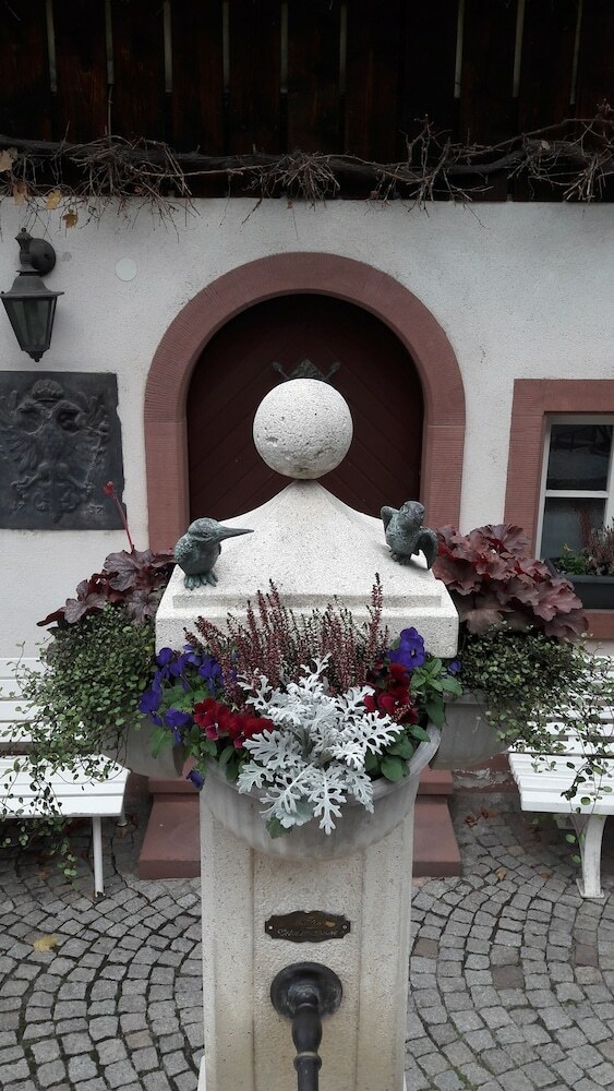 Hotel-restaurant Adler