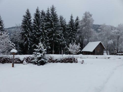 Apartamento Haus Ertel