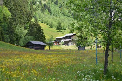 Kur- Und Sporthotel Winkler