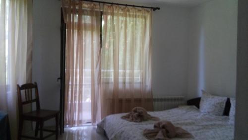 Hostal Guest Rooms Oasis 2