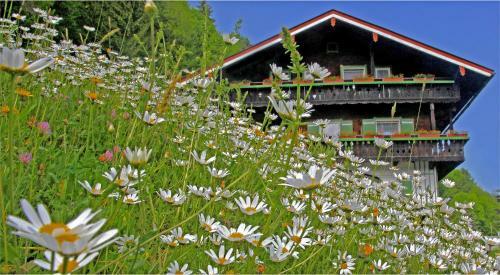 Bed & Breakfast G�stehaus Bergwald