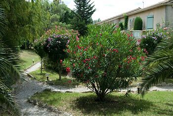 Hotel L'amandi�re