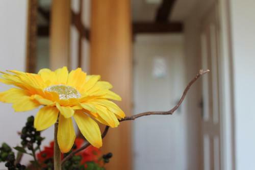 Hostal Pension Pastoriushaus