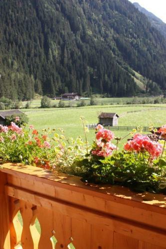Apartamento Landhaus Alpensonne