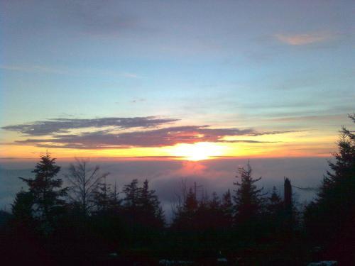 G�stezimmer Im Haus Am Wald