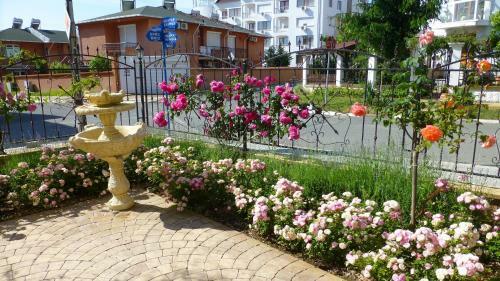 Apartments In Elitonia 5