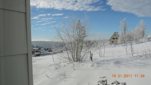 Apartment Winterbergerstra�e 27