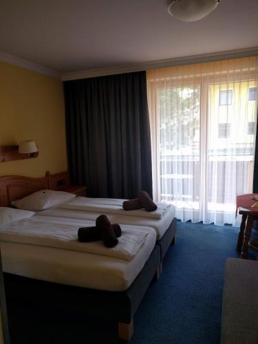 Hostal G�stehaus Steger