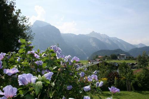 Apartamento Haus Bergheimat