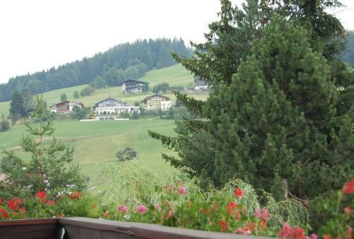 Hostal Haus K�ssler