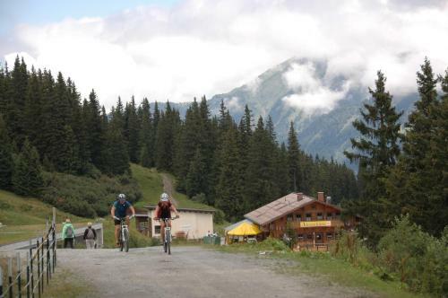Hostal Alpenpension Lackenbauer