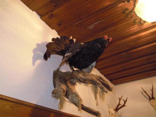 Bed & Breakfast Pension Herzoggut