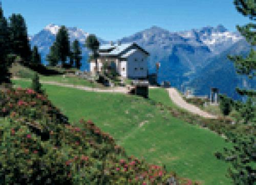 Alpenhotel