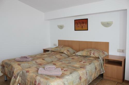 Hotel Radik