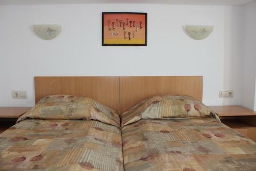 Hotel Radik