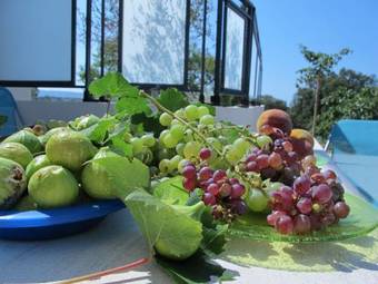 Hostal Villa Hote Lux