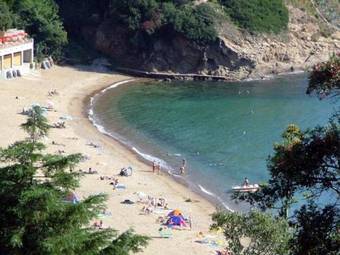 Ver fotos