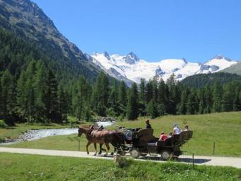 Agroturismo Casa Vacanze Roncaiola