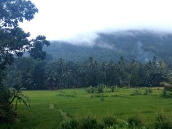 Hostal Sinharaja Green View