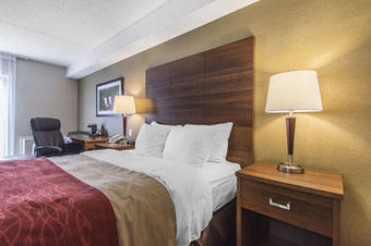 Hotel Comfort Inn