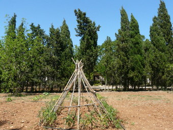 Agroturismo Es Palmer Oase
