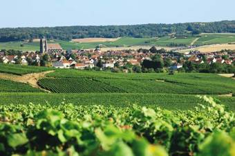 Hotel Le Relais Champenois Logis