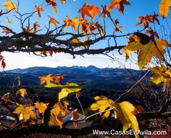 Agroturismo La Pasailla De Gredos